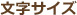 文字サイズ